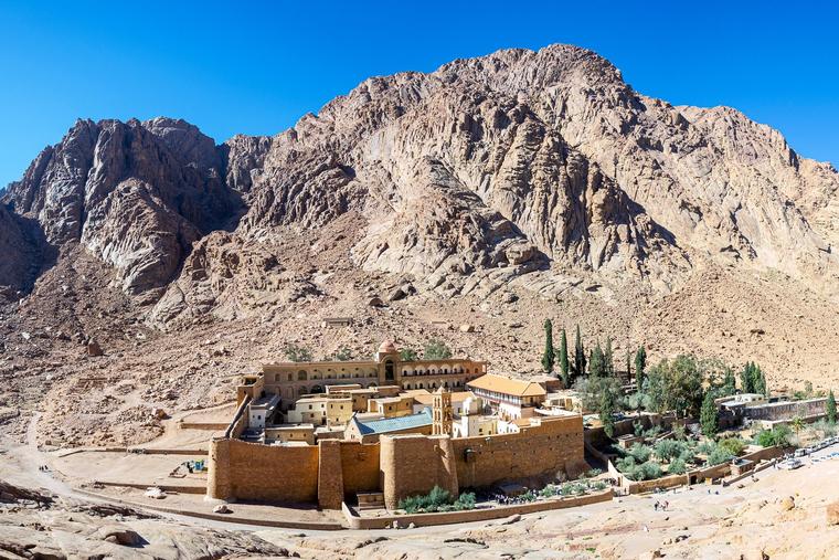 mnt sinai